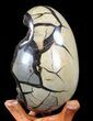 Septarian Dragon Egg Geode - Black Crystals #40904-2